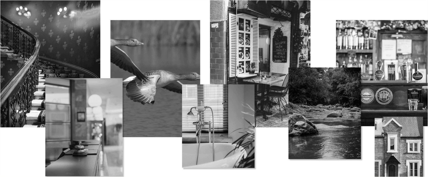 A collage of black and white photos featuring a staircase, birds in flight, a cafe, bar shelves, a bathtub, a river, and a miniature house facade. , The Goose Crown Inn