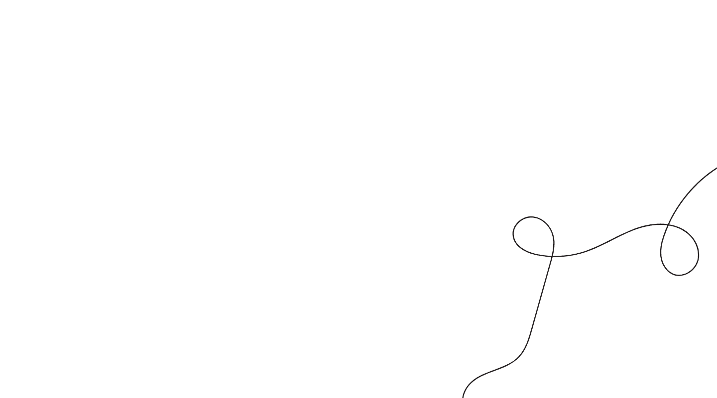A simple black line drawing on a white background, forming abstract curves and loops mainly in the lower right corner. , The Goose Crown Inn