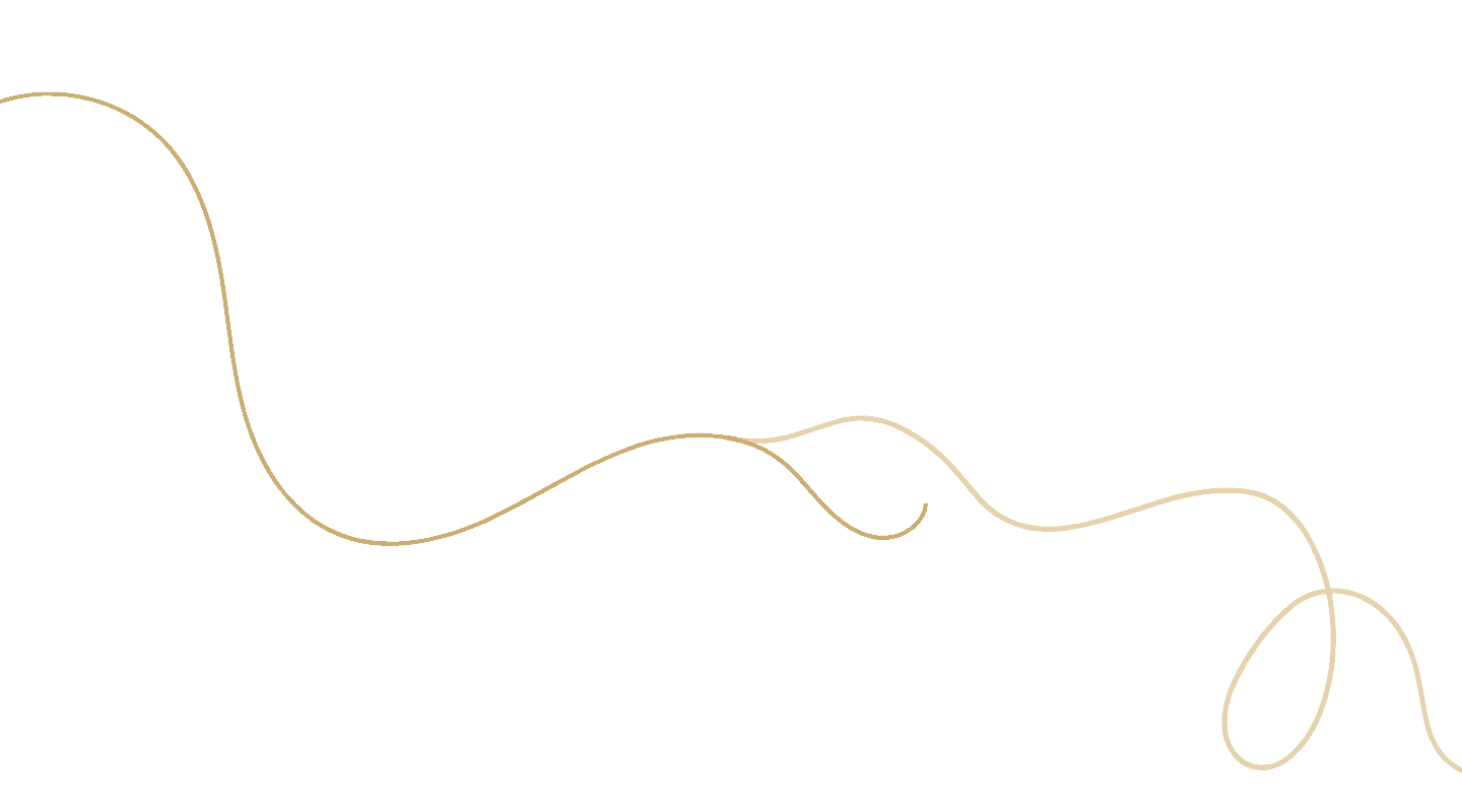 A single thin, wavy golden line on a light gray background, curving smoothly across the image from the left to the lower right corner. , The Goose Crown Inn