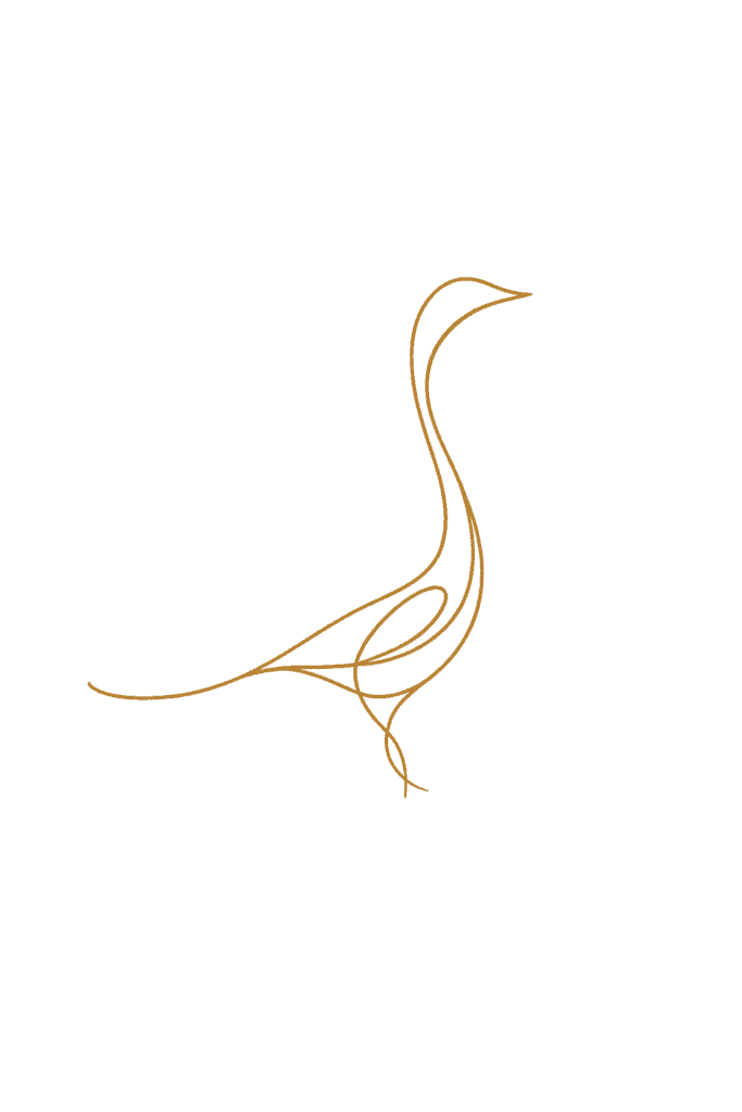 Minimalist line drawing of a bird in gold on a white background, with flowing curves forming the body, wings, and tail. , The Goose Crown Inn