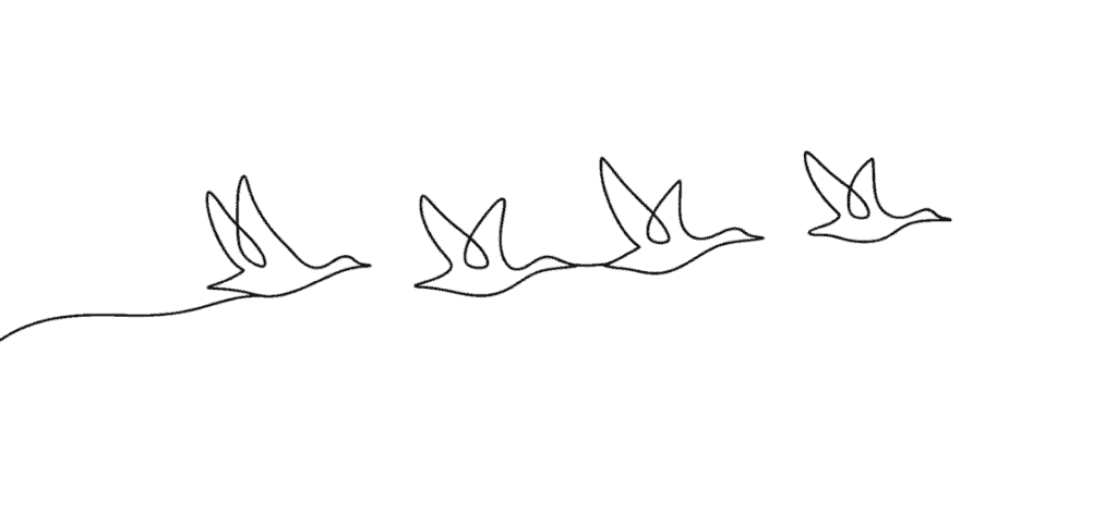 A minimalist line drawing of four birds flying in formation against a plain white background. , The Goose Crown Inn