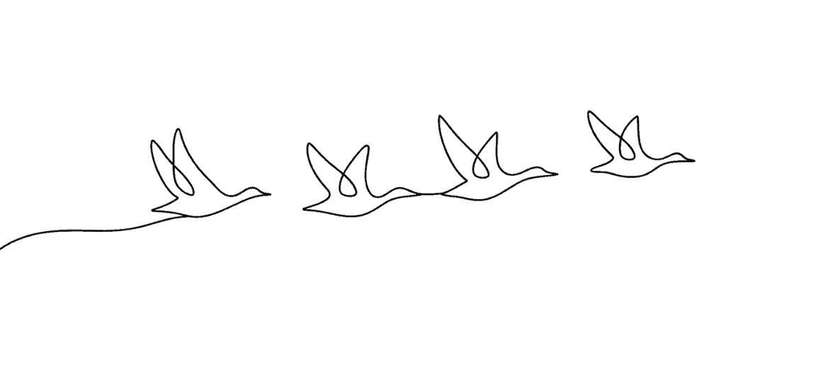 A minimalist line drawing of four birds flying in formation against a plain white background. , The Goose Crown Inn