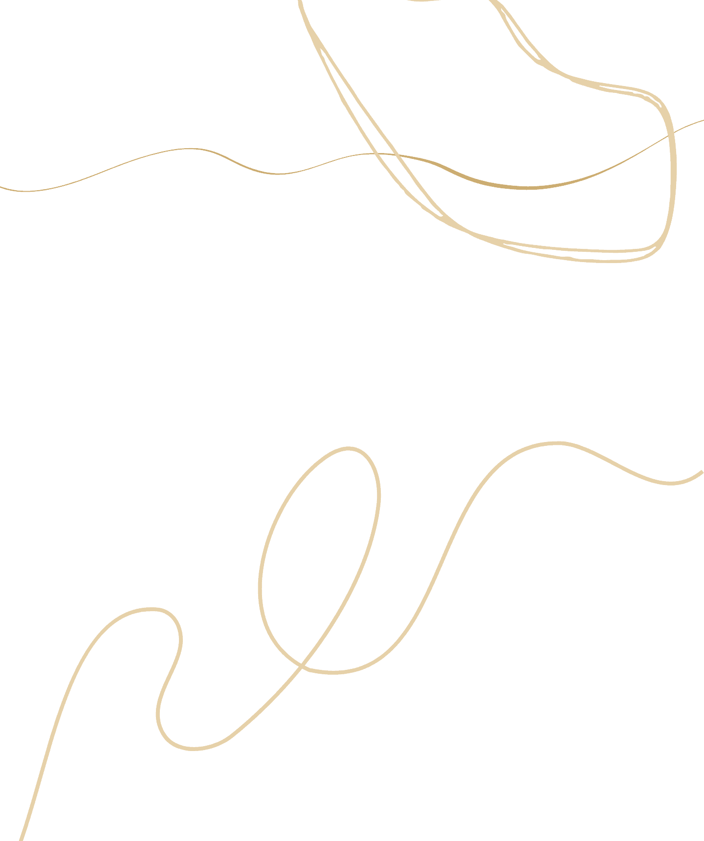 Beige, wavy, and looping lines are drawn on a plain white background in an abstract, minimalist style. , The Goose Crown Inn