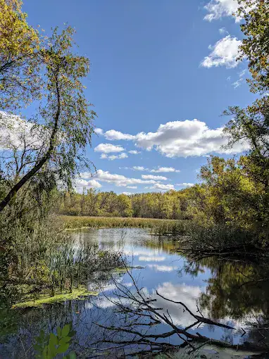 A calm pond surrounded by trees and reeds under a blue sky with scattered white clouds, reflecting in the water. , The Goose Crown Inn
