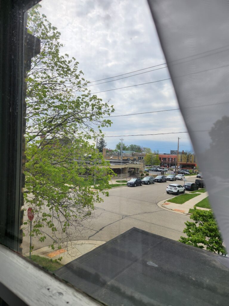 View from a window showing a street intersection with cars parked along the road, trees with green leaves, and buildings in the background under a cloudy sky. , The Goose Crown Inn