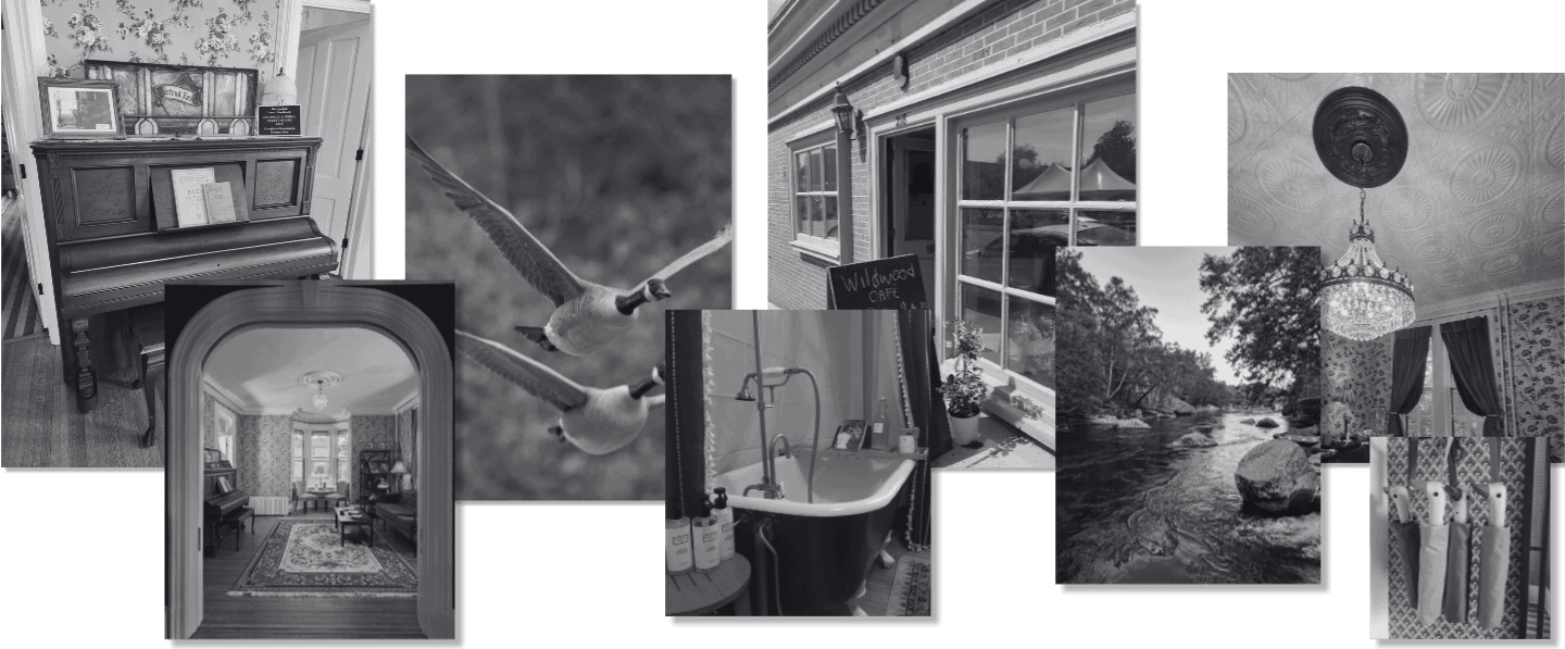 A collage of black and white photos featuring canada geese in flight, a cafe, a dining area, a bathtub, a river, and a geese designed umbrellas. The Goose Crown Inn
