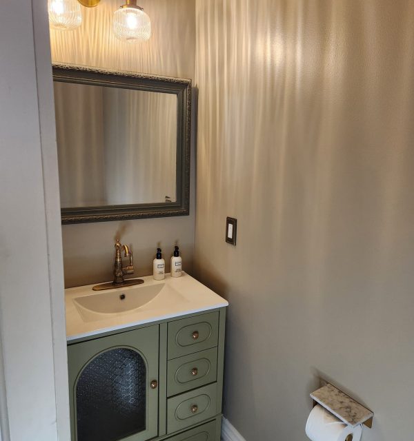 A small bathroom with a green vanity, sink, mirror, wall-mounted light fixture, two bottles on the counter, and a toilet paper holder attached to the wall. , The Goose Crown Inn
